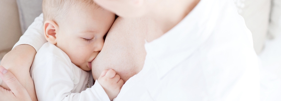 Академия Плаценты